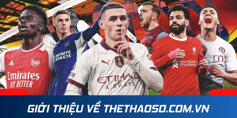 Giới thiệu về thethaoso.com.vn